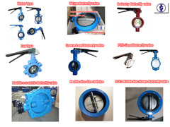 Tianjin Tanggu Tianshun Valve Industrial Co.,Ltd