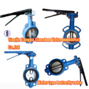 Tianjin Tanggu Tianshun Valve Industrial Co.,Ltd