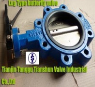 Tianjin Tanggu Tianshun Valve Industrial Co.,Ltd