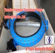 Tianjin Tanggu Tianshun Valve Industrial Co.,Ltd