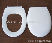 Toilet seat, SMC/BMC