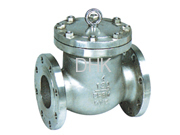 Check Valve