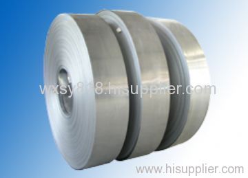 stainless steel strip