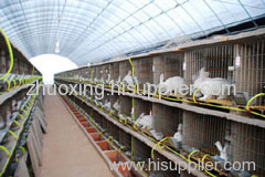 commodity rabbit cage