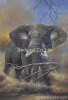 Elephant oil painting
