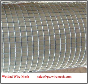 stainless steel welded wire mesh rolls