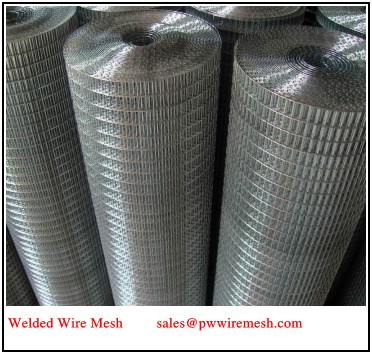 Hot DIP Galvanized Welded Wire Mesh Rolls