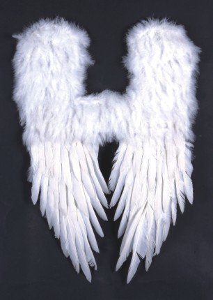 White Angel Wing