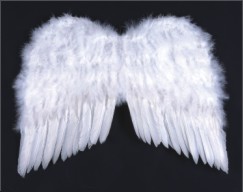 White Angel Feather Wing