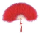 Decorative Feather Fan