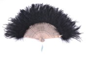 Classical Feather Fan