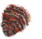 Natural pheasant feather pad