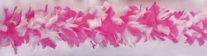 Turkey Feather Boa