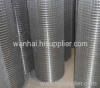 galvanized Welded Wire Mesh