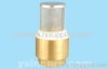 brass check valve forged body