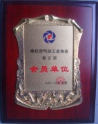 member of the Fenghua Pneumatic Association