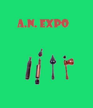 An Expo India