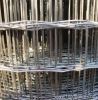 Holland Electric Welded Wire Meshes