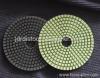 Flexible Diamond Wet Polishing Pad