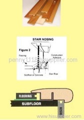 stairnose/nosing as parts of steps