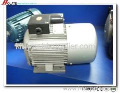 electric motor