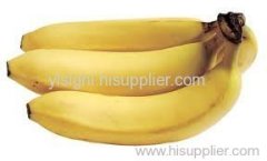 Banana fresh fruits