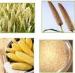 Food Grains