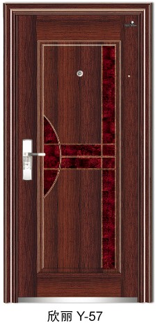 Steel-Wooden Door