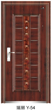 stainless security door