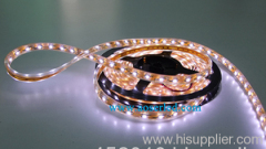 SMD LED STRIPS