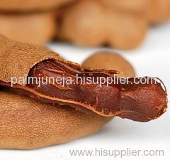 Tamarind (Tamaridus Indica) Extract