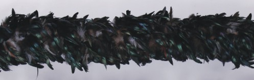 black Feather Boa