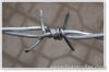 galvanized barbed wire