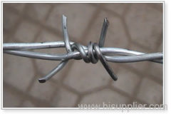 Galvanized Barbed Wire