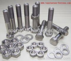 Titanium Bolt