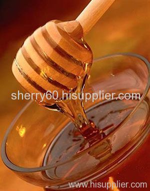 bees honey