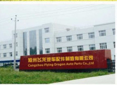 Cangzhou Flying Dragon Auto Parts Co.,Ltd.