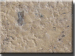 Chinese Limestone Color