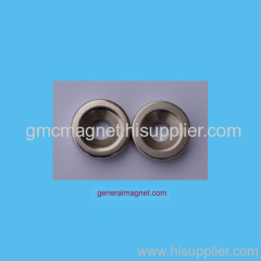 Ring shaped Rare Earth magnets