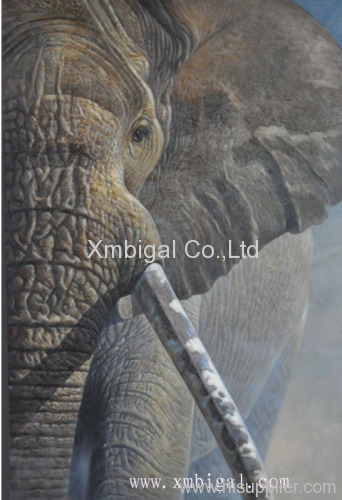 Animal elephant oil painting