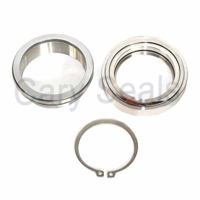 High Quality Flygt Pump Seal CR-F-80 equal to AESW05S Seal