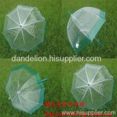 transparent straight umbrella