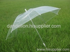 transparent umbrellas