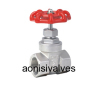 Stailess steel Internal Thread Gate Valve