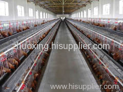 poultry wire fence netting