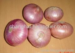 onion