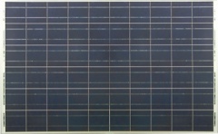 200w-300w Polycrystalline solar module