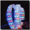 Led Rope Light