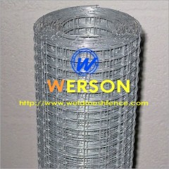 Hot Dipped Galvanized Welded Wire Mesh