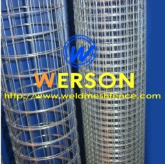 Hot Dipped Galvanized Welded Wire Mesh